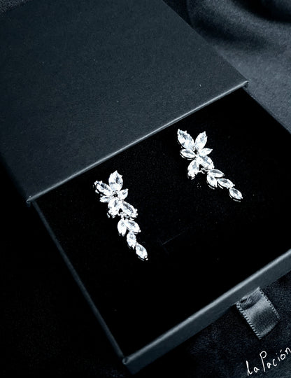 A close-up of a pair of silver earrings with white diamonds. The earrings are simple in design and the diamonds are sparkling. The earrings are very elegant and would be perfect for a special occasion. the earrings are displayed inside a black jewelry box.